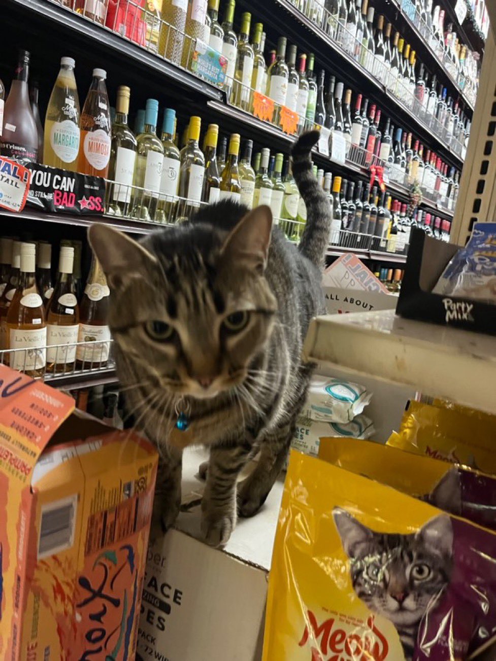 Shopping with KitKat